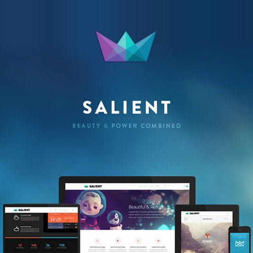 Salient – Responsive Multi-Purpose Theme